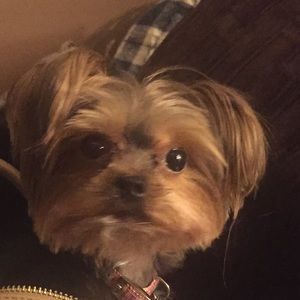 Meet your Posher, Leah